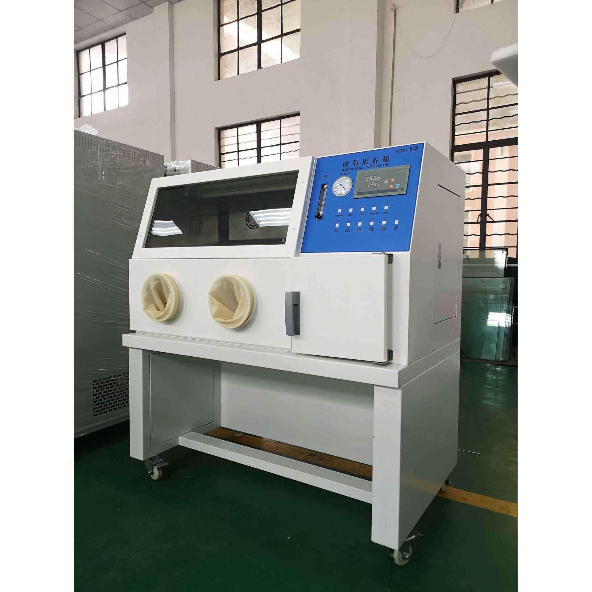 供应厌氧培养箱YQX-11价格 厂家供应 可加工定做 质量保障