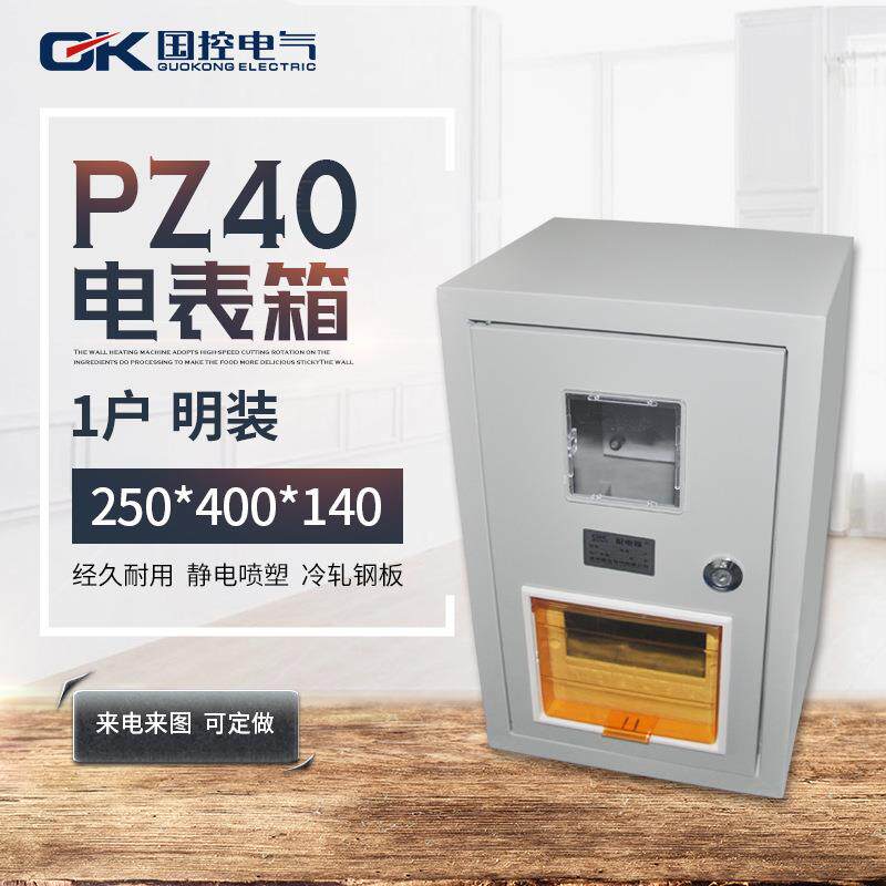 国控自销室内挂墙明装暗装电表箱三相3门家用PZ40单相源头工厂