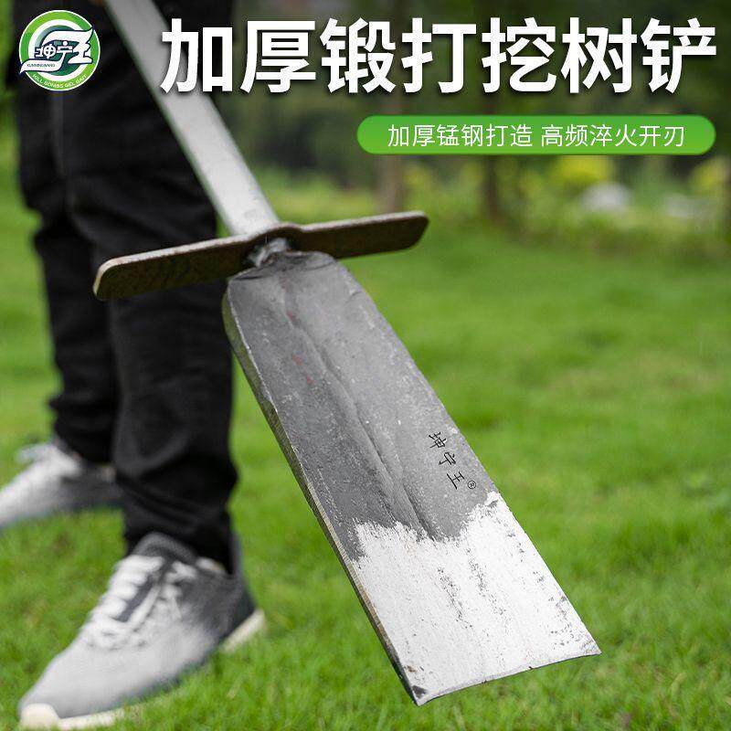 洛阳铁锹坤宁王树根铲挖树锹挖笋洞起苗挖土铲铲锰钢挖坑挖沟
