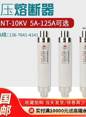 高压限流熔断器XRNT10-12KV10A20A40A50A63安80A100A箱变保险管丝
