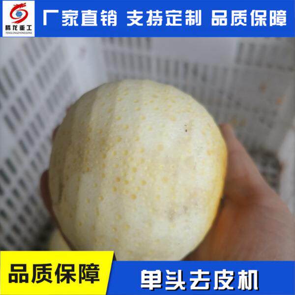 苹果无花果大型去皮设备香梨果蔬去皮机 小型去皮机设备厂家价格