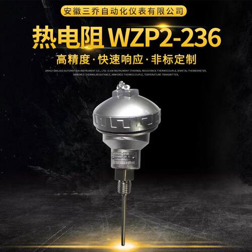 双支热电阻WZP2-236工业仪表双支热电阻分度号PT100可加工生产
