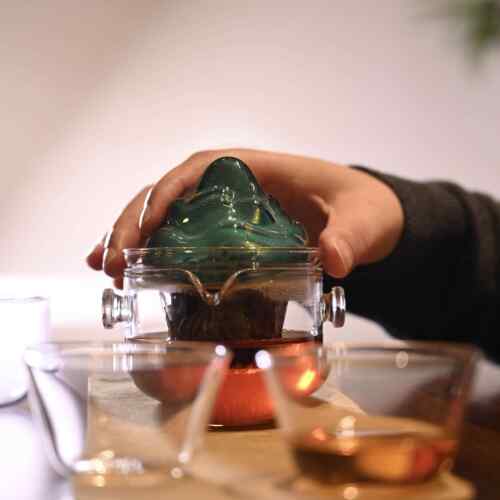 新款套东游记 装望山户外旅行杯套茶带过滤耐高温玻璃快客杯旅行