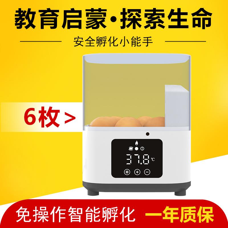 热销货源儿童玩具孵蛋器家用型6枚迷你鸟用鸭蛋孵化器智能孵蛋箱
