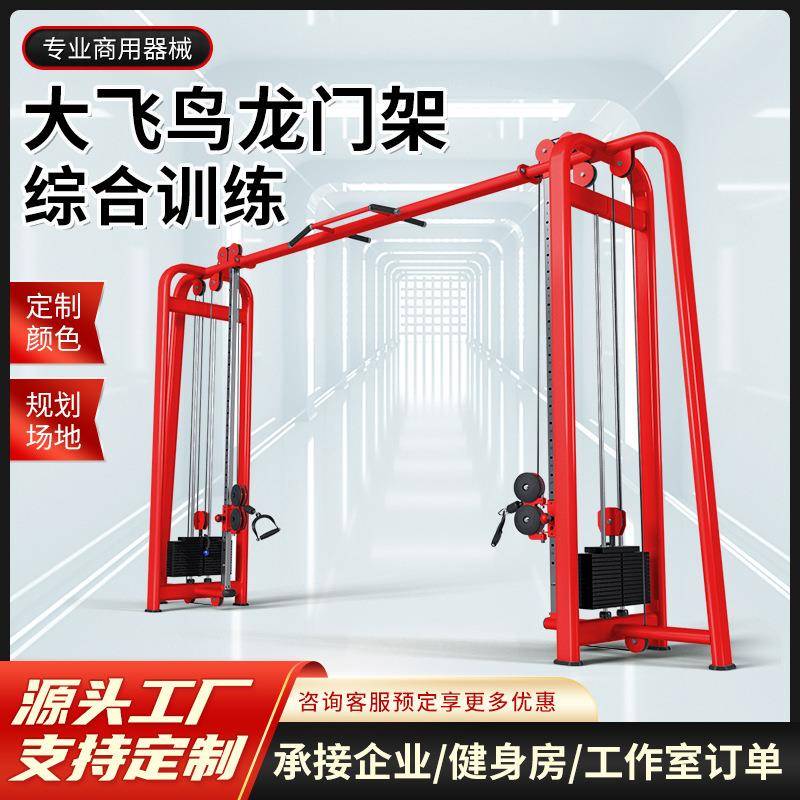 健身房器材大飞鸟综合训练器多功能引体向上双臂机龙门架健身器械