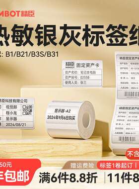 2P80【B系列 银灰】niimbot精臣B1/B21/B3S/B31银灰标签纸办公设