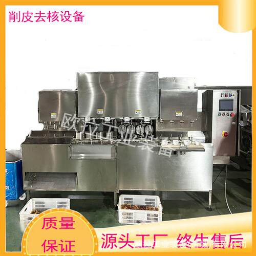 香橙全自动去皮加工生产线 黄桃 梨去核设备 大型商用去核