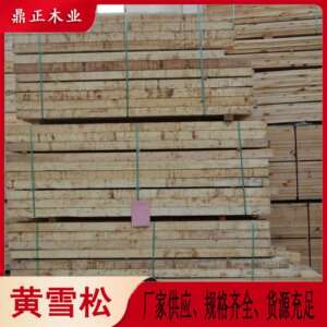香柏木原木木材古建家具棺材园林黄柏木料4