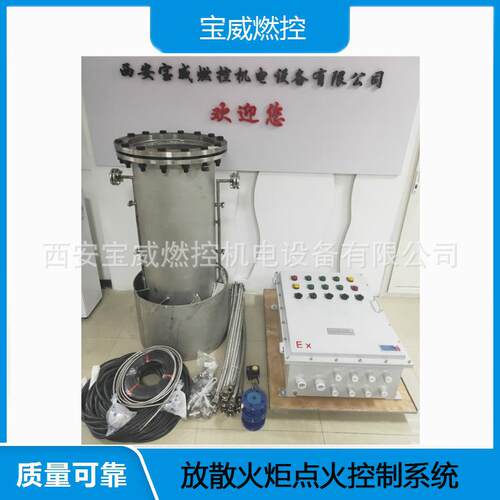 沼气火炬点火系统点火成功率稳定维护方便噪音低