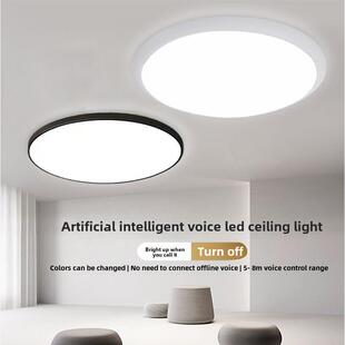 全频谱智能语音不需要联网离线语音控制Led护眼卧室厨房三防语音