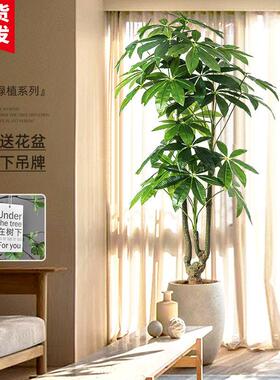 彷真绿色植物高端轻奢发财树室内客厅装饰摆件假盆栽造景假花彷生