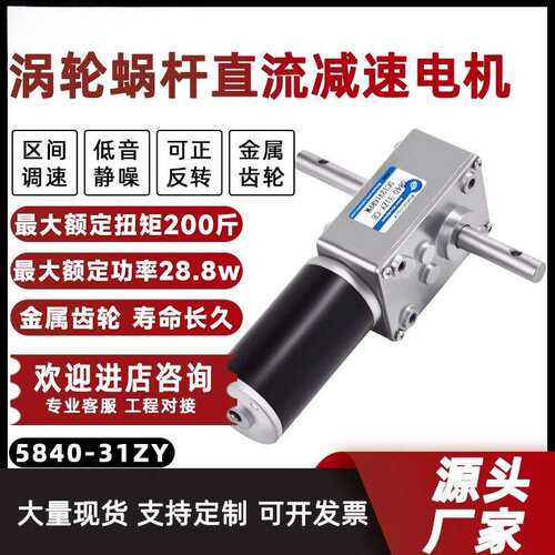 微型双出轴直流减速电机12V24V小型调速低速5840-31ZY大扭力马达