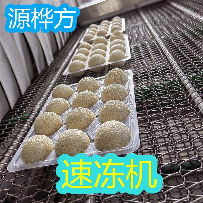 源桦方芝麻球速冻机汉堡包冷冻加工设备猪大肠冷冻机