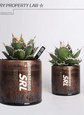 106直筒陶瓷龟甲龙惠比须笑大黑象牙宫潮流植物花盆植本钵SRL花盆