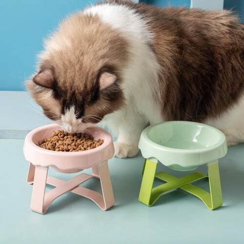 PE宠物碗陶瓷宠物猫咪碗报护颈椎防黑下巴猫粮盘饮水盘小型犬狗碗
