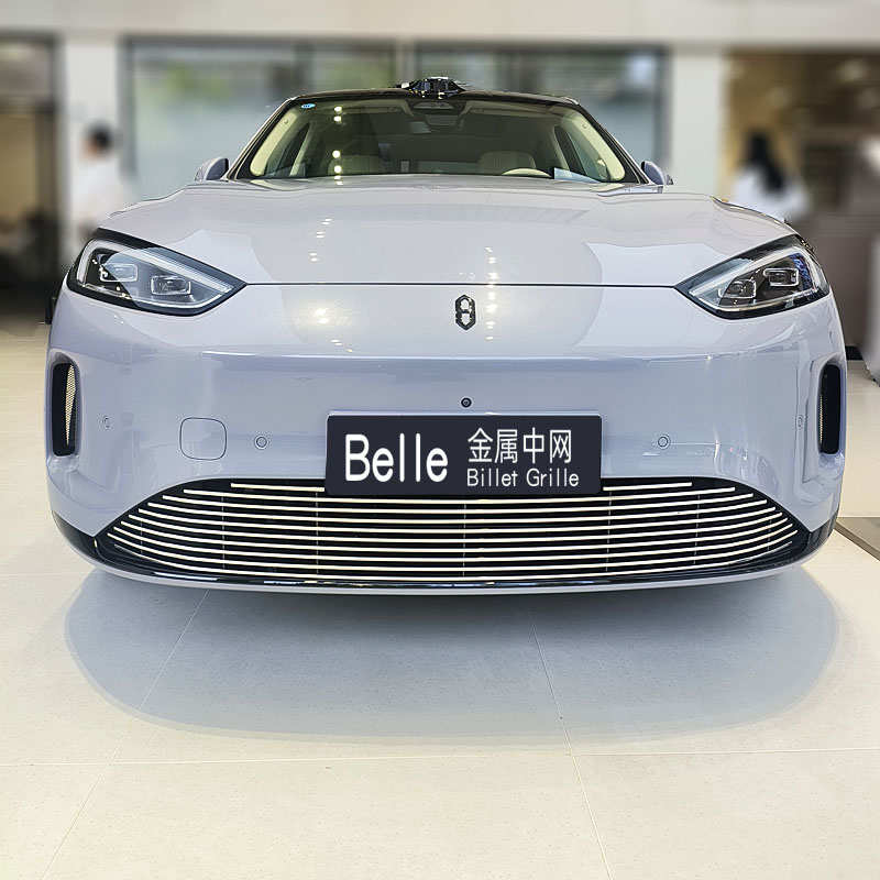 适用2024款问界M5防虫网增程版专用金属中网改装件装饰条用品配件