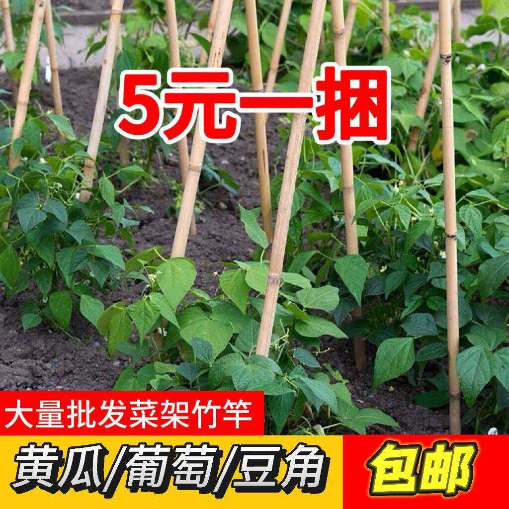 菜园搭架竹竿豆角黄瓜爬藤架园艺篱笆围栏旗杆竹竿瓜果爬藤架支撑