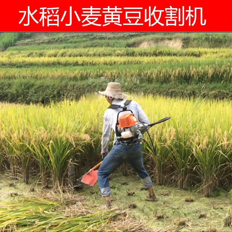 背负式大豆黄豆收割机水稻小麦收割机割豆机割稻机打草机四冲程