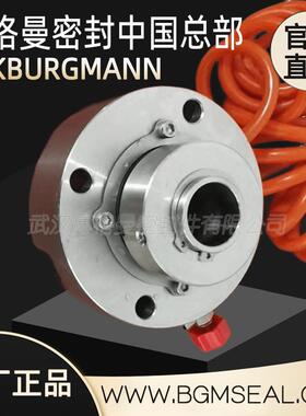 武汉博格曼杭州碱泵机械JFK50-32-160-JII-PI密封机封轴封耐高温