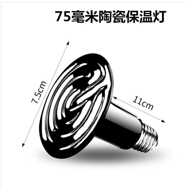 爬宠陶瓷加热灯泡宠物乌龟刺猬陆龟蜥蜴红外保温加温取暖温控灯泡,农机/农具/农膜,农用防护器具,淘宝优惠券,粉丝福利购,淘宝优惠卷