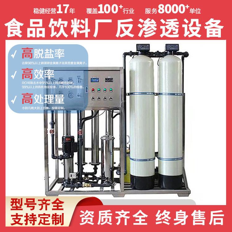 小型反渗透设备纯水制取食品深加工优选水质处理器