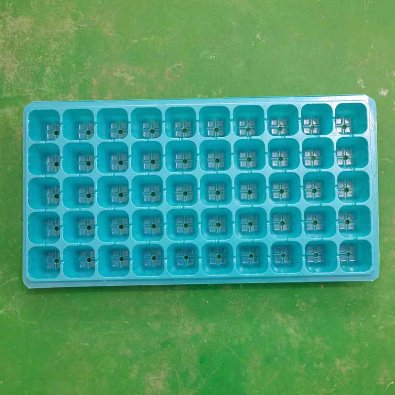 黑色滴灌秧苗盘蓝色育苗草莓穴桉树塑料白色盘孔50盘孔加厚24带