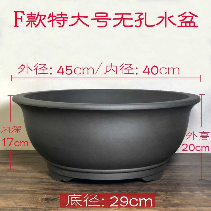 盆草盆鳉古法菖蒲无养鱼莲盆盆假山植物盆紫砂鱼水铜钱盆碗青养孔