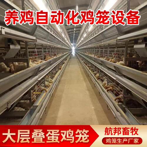 大层叠蛋鸡笼厂家镀锌蛋鸡笼自动化养殖笼具养鸡场用全自动蛋鸡笼