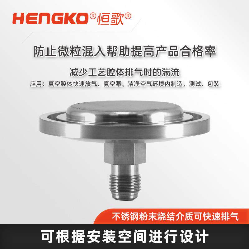 恒歌高温超纯气体扩散器VCR316L真空法兰过滤器工艺气体过滤器