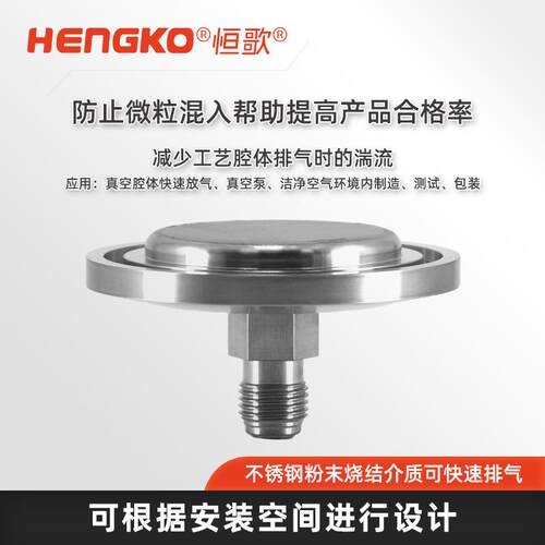 恒歌高温超纯气体扩散器VCR316L真空法兰过滤器工艺气体过滤器
