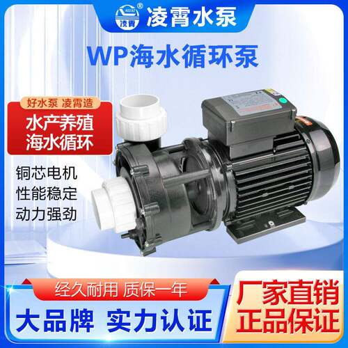 WP00WP400WP500海水耐腐蚀泵专业养殖泵循环泵大流量泵