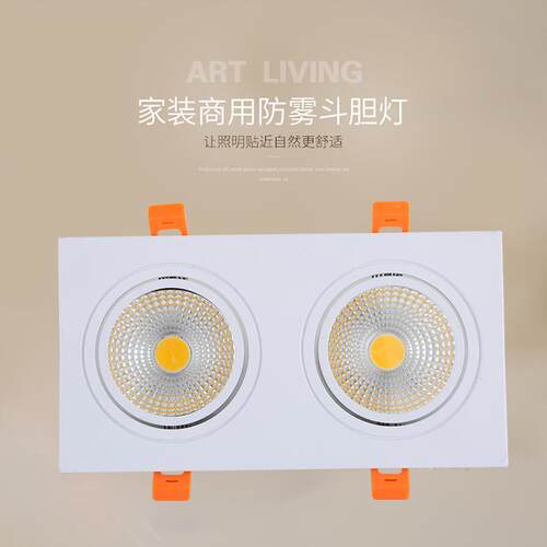 cob斗胆双头射灯led嵌入式双孔筒灯服装店铺商用10x20格栅豆胆灯