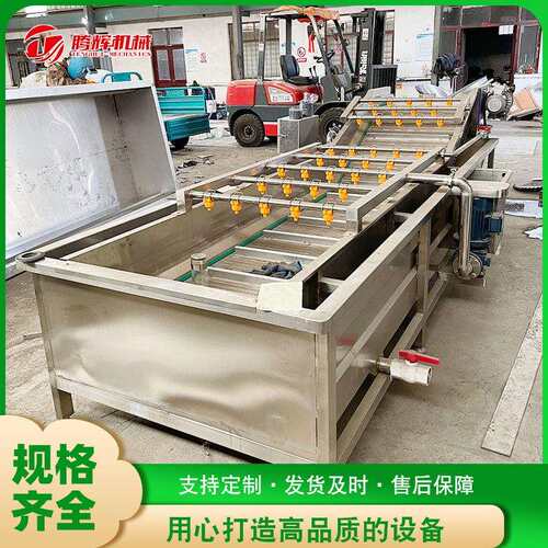 豌豆气泡喷淋清洗机 红辣椒气泡清洗机 全自动不锈钢果蔬清洗机