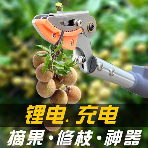 果树高枝弯头剪 高空延长采摘粗枝剪 园林修剪摘果粗枝两 用修枝
