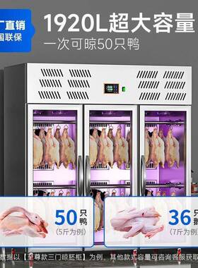 驰能晾鸭柜商用烧鸭风冷智能烘干烧鹅烧腊除湿抽湿胚柜烤鸭风干柜