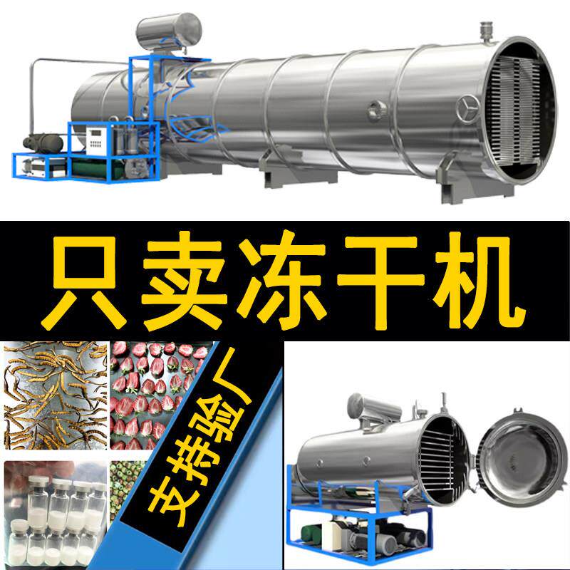 大型冻干机商用工业机器设备鸡胸肉宠物食品果蔬真空冷冻除湿机
