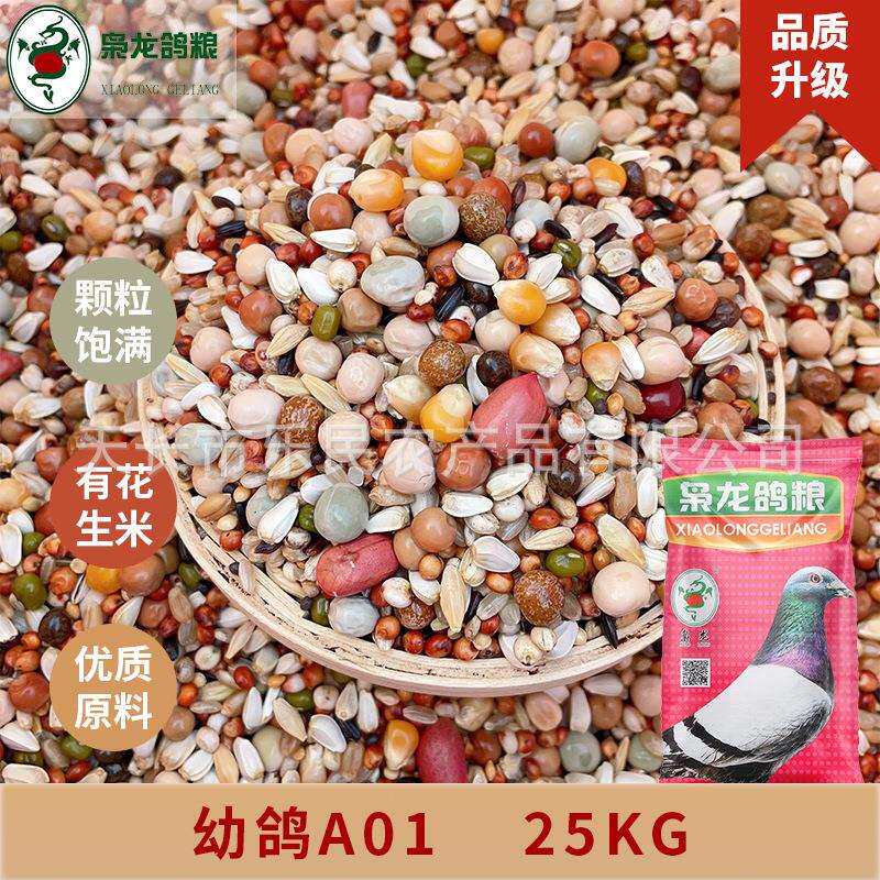 枭龙鸽粮幼鸽A01营养鸽子食赛鸽信鸽观赏鸽鸟食50斤浙江沪皖包邮