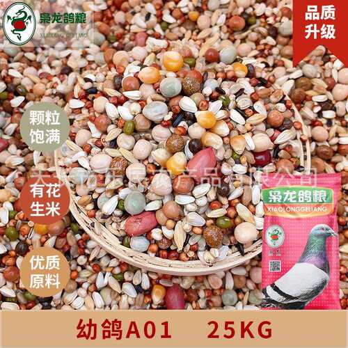 枭龙鸽粮幼鸽A01营养鸽子食赛鸽信鸽观赏鸽鸟食50斤浙江沪皖包邮