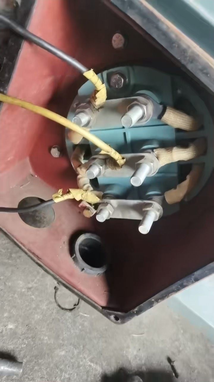 两台200千瓦六级安徽皖南电机。