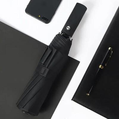 12 Bones Windproof Double Layer Resistant Umbrella Fully Aut