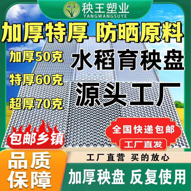 【源头厂家】超厚手抛盘抛秧盘353孔434孔561孔机插盘育秧盘育苗