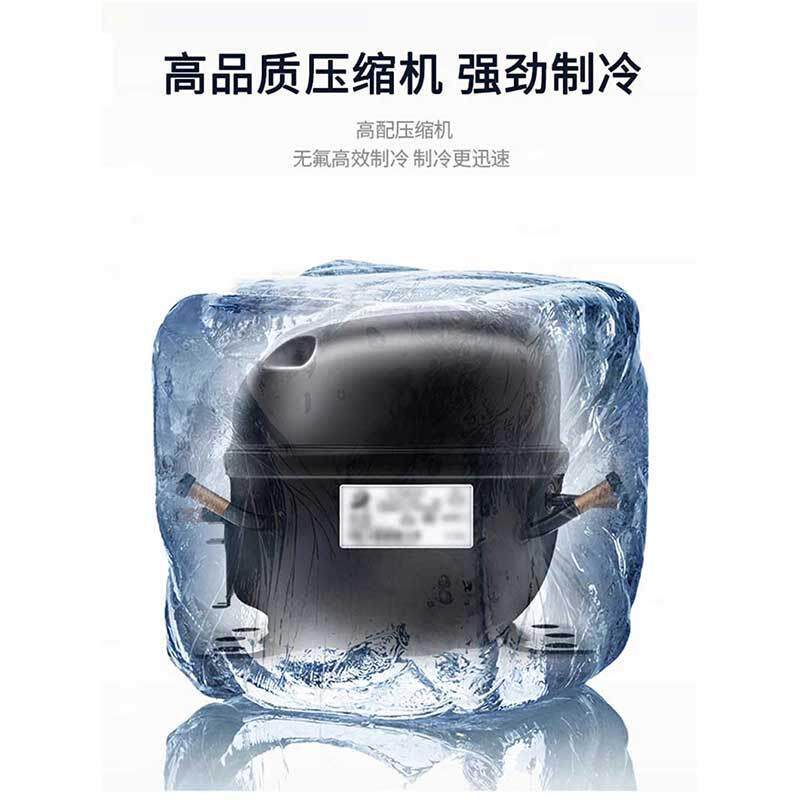 广星星风型冷式冰柜冷冻柜格林斯达商东业用大VEV保鲜立展示工作
