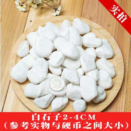 白石子庭院铺路铺地鹅卵石景观白色石子花园造景鹅软石天然小石头