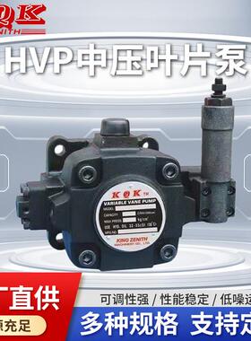 厂家直供HVP中压叶片泵流量稳定低噪音适配机床工程机械液压系统