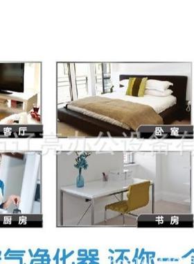 国IUG范罗士Fell净owes绿色DX5-美空气化器