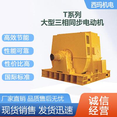 西安电机T2500-8/1702500KW10KV高压交流三相同步电动机厂