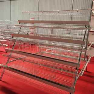 阶梯式 养殖NOW鸡层笼三层四多门蛋鸡笼可绿食槽白食配槽厂家