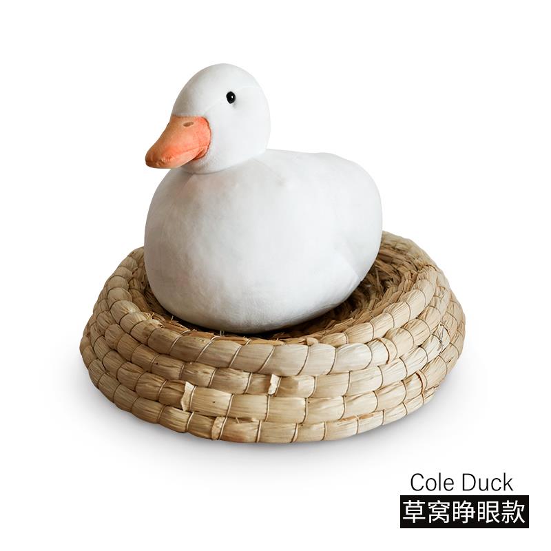 正品生柯尔鸭玩摆件公偶仔日礼物女级生送女友朋友闺蜜小众高感万