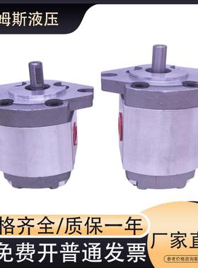 HGP齿轮泵HGP-1A-F8R HGP-1A-F4R 1R/2R/3R/5R/F6R液压高压油泵头