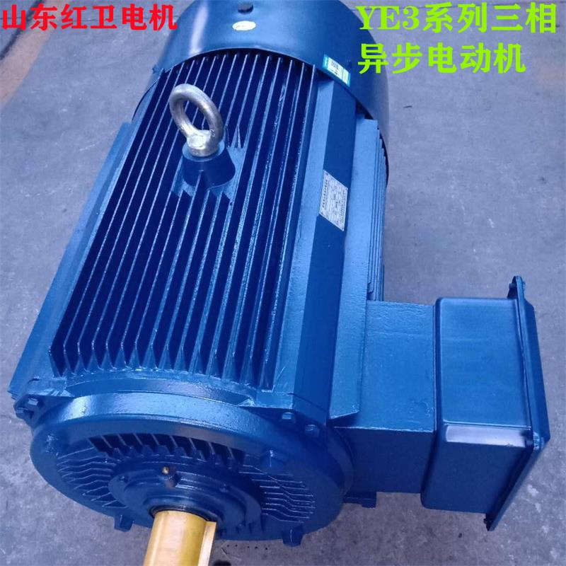 山东源头厂家直供YE3-315S-2/110W低噪音三相异步电动机质保